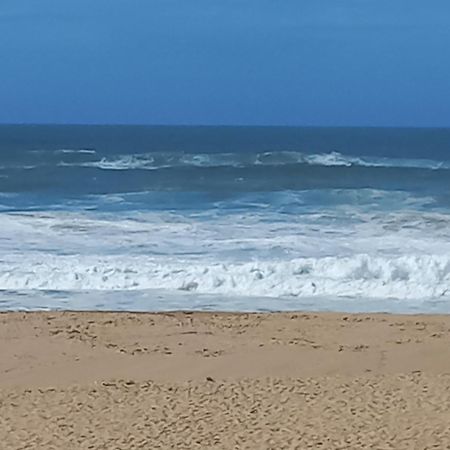 Plage Et Foret Pobral Zewnętrze zdjęcie