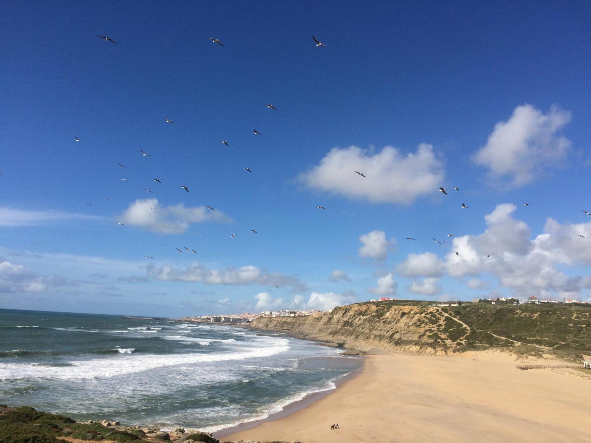 Plage Et Foret Pobral Zewnętrze zdjęcie